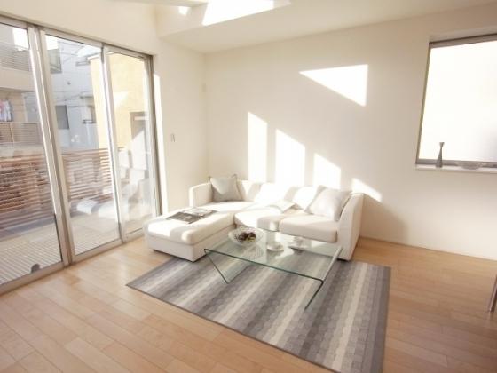 Same specifications photos (living). Building construction cases