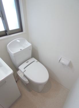 Toilet. Washlet with