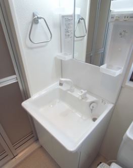 Washroom. Shampoo dresser