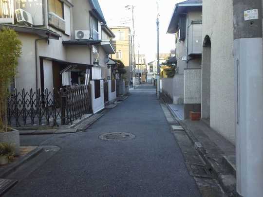 Local land photo. East driveway part