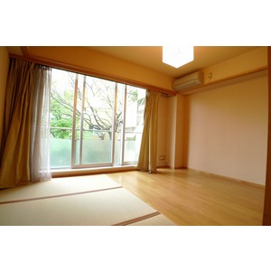 Living and room. Western-style about 4 mat flooring