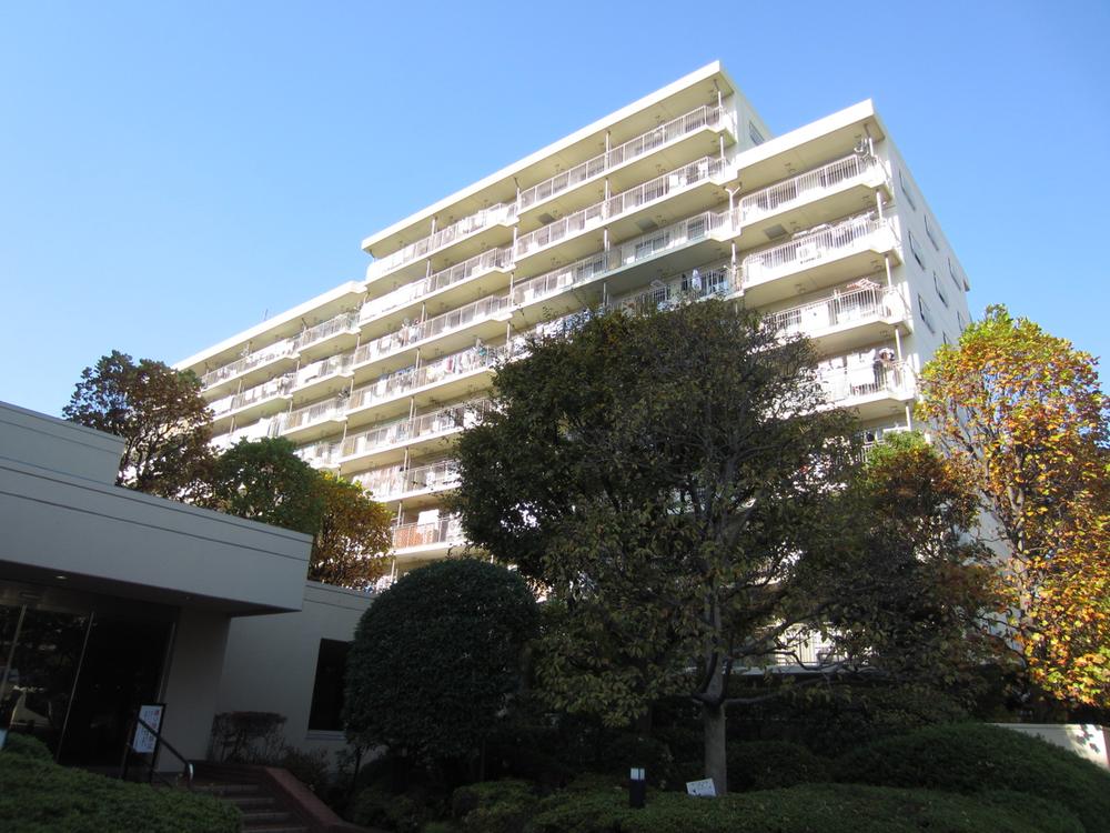 Local appearance photo. Appearance (December 2013 shooting)