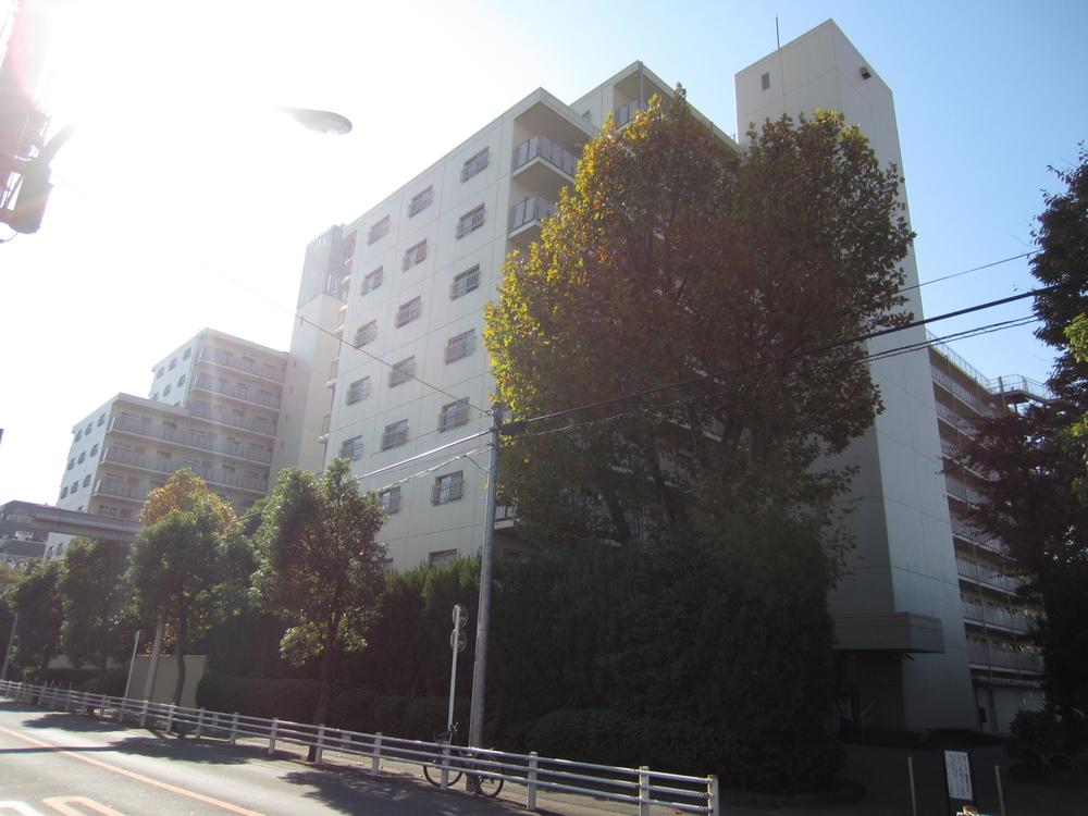 Local appearance photo. Appearance (December 2013 shooting)