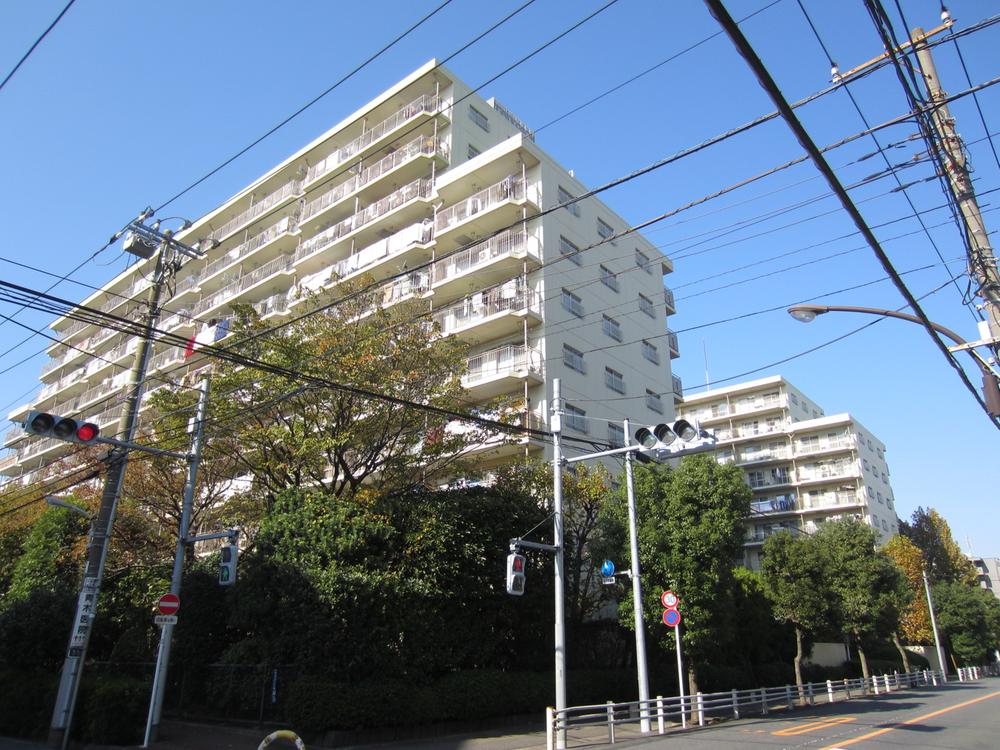 Local appearance photo. Appearance (December 2013 shooting)