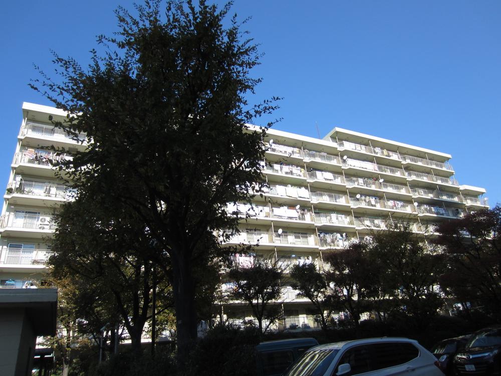 Local appearance photo. Appearance (December 2013 shooting)