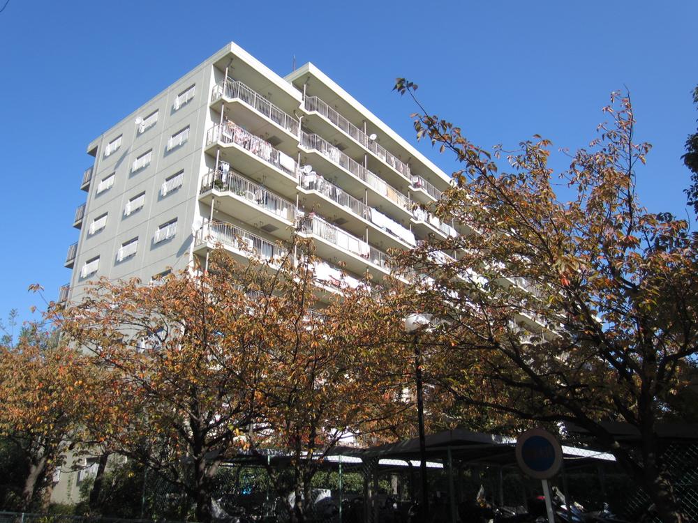 Local appearance photo. Appearance (December 2013 shooting)