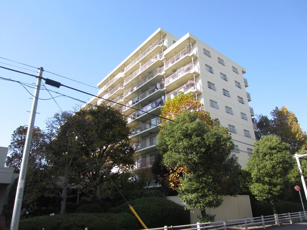 Local appearance photo. Appearance (December 2013 shooting)