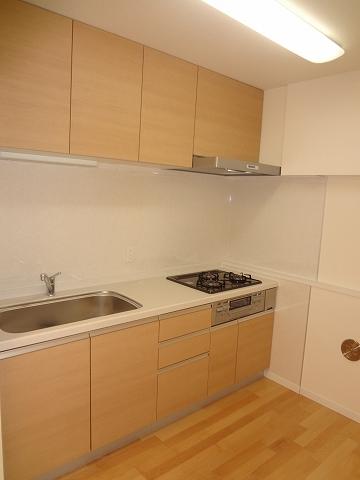 Kitchen. Spacious kitchen Indoor (March 2013) Shooting