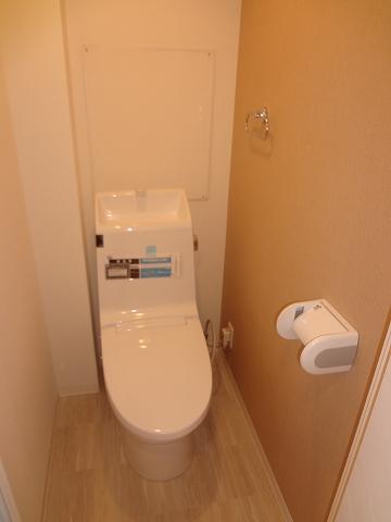 Toilet. Cleaning function toilet