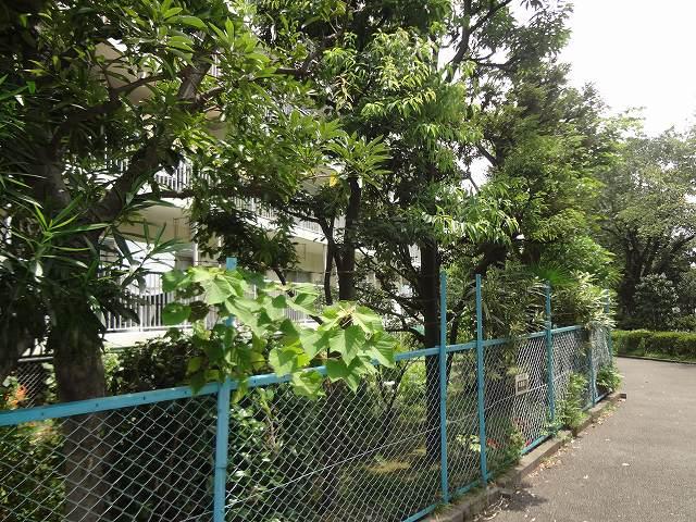 Other. South front Lush promenade