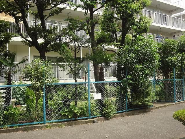 Other. South front Lush promenade