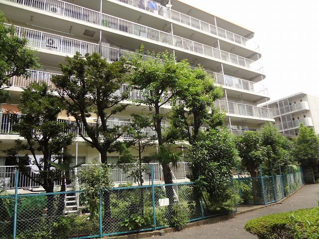 Other. South front Lush promenade