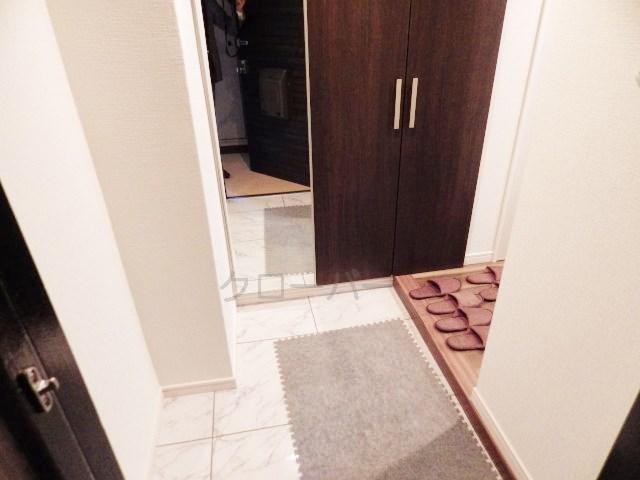 Entrance. The room from the front door