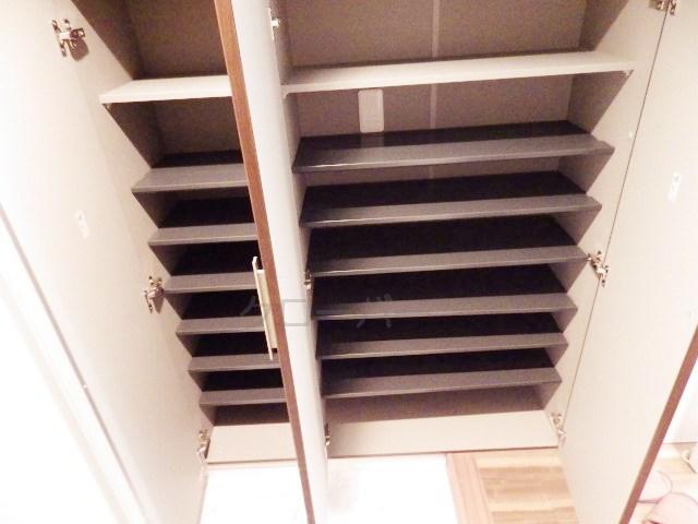 Entrance. Footwear purse