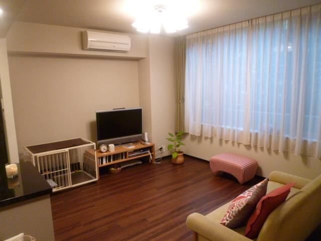 Living. Indoor (June 2013) Shooting