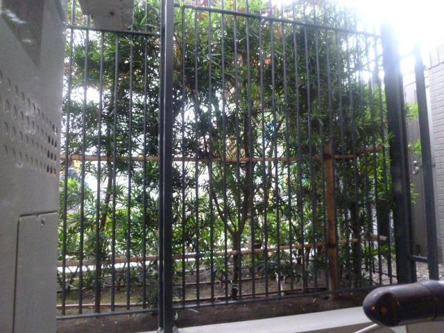 Other. Is the view from the terrace.