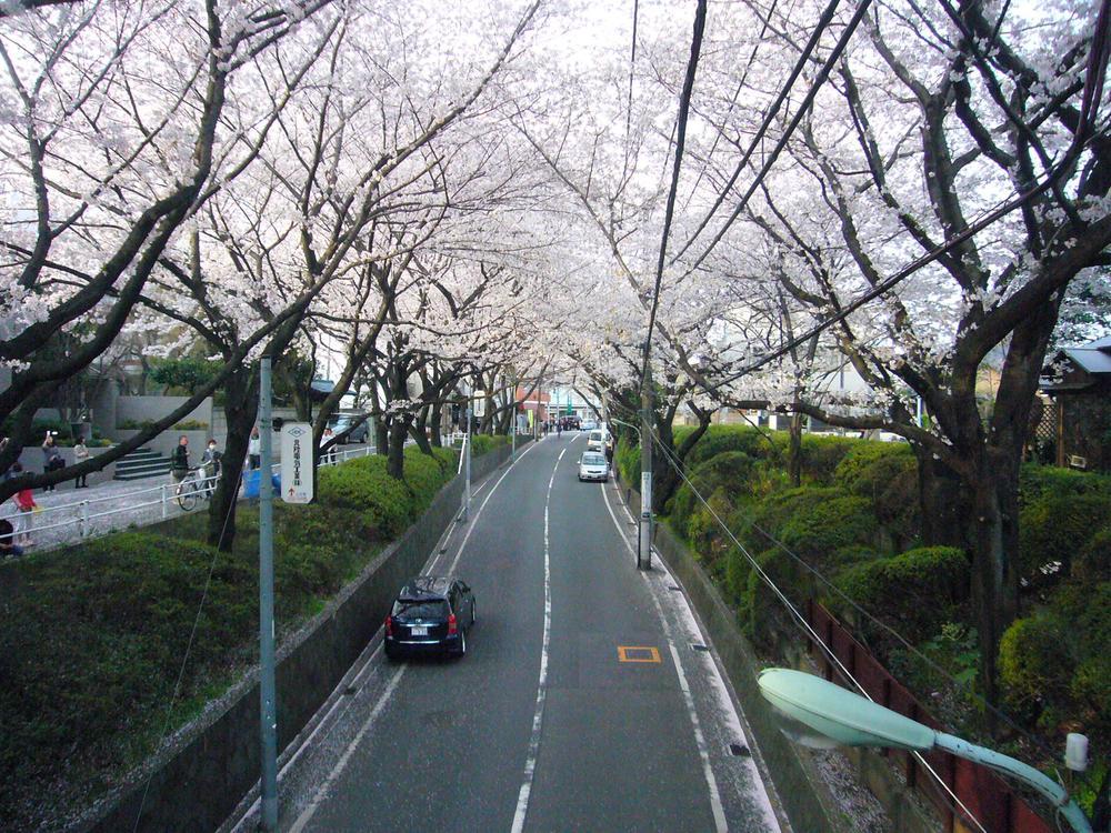 Other Environmental Photo. It is "Sakurazaka" of cherry blossom season. 4-minute walk (about 350m)