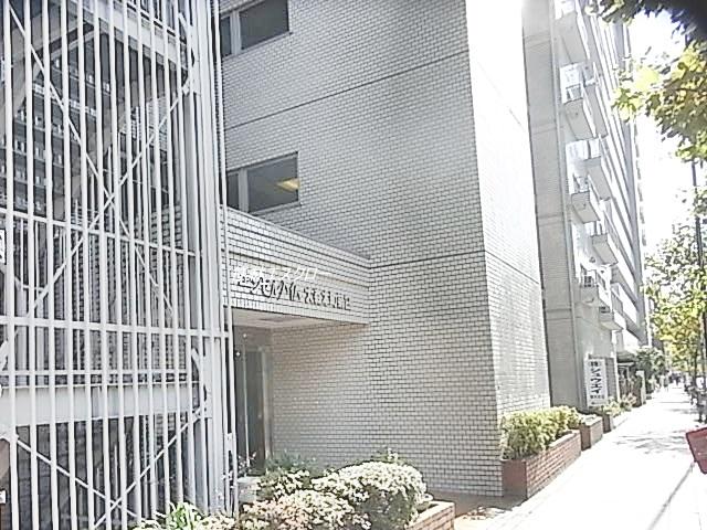 Entrance. Common areas