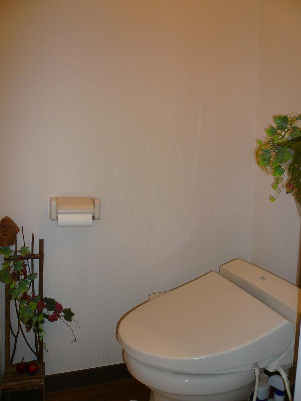 Toilet. Indoor (September 2013) Shooting