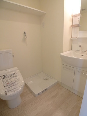 Washroom. Shampoo dresser