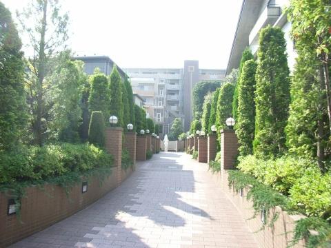 Other common areas. Approach to the entrance, surrounded by green