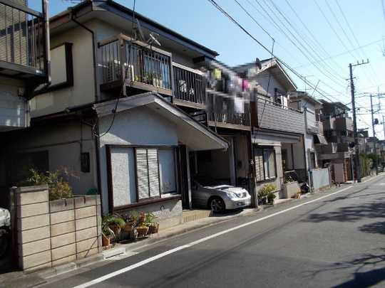 Local land photo. appearance