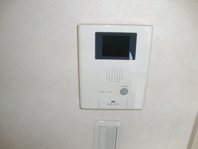 Security. Monitor with intercom