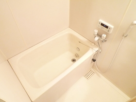 Bath. It is the bath (reference photograph)