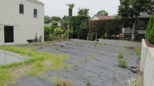 Local land photo. Local (May 2013) Shooting