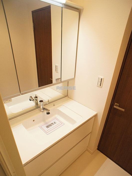 Wash basin, toilet. Bathroom vanity