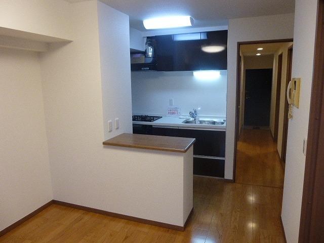 Living. Indoor (11 May 2013) Shooting