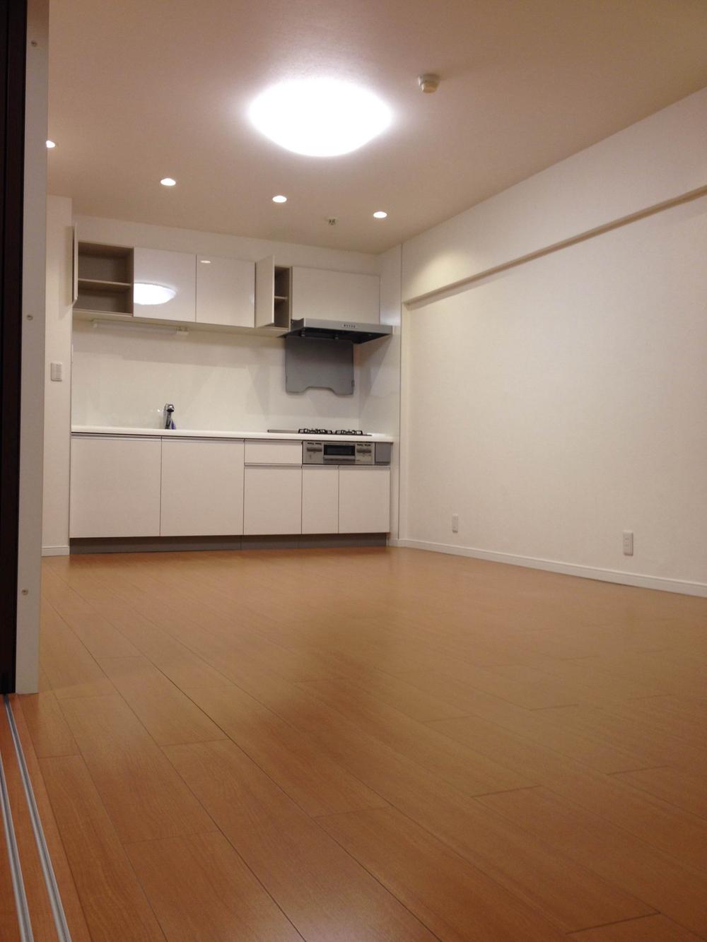 Living. Indoor (2013 12) shooting