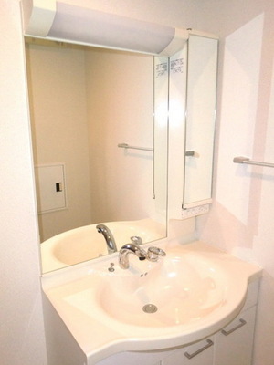 Washroom. With separate wash basin