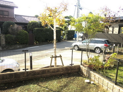 View. Landscape from the window