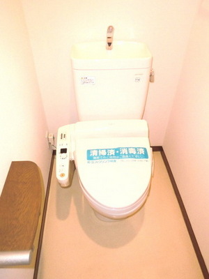 Toilet. Bidet with toilet