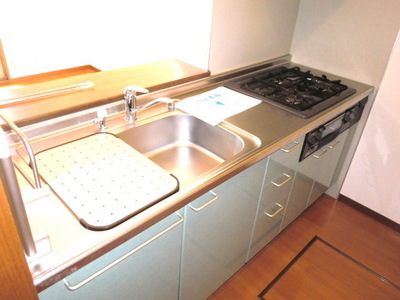 Kitchen. 3-neck system Gasukitchin