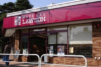 Convenience store. 503m until the (reference) Natural Lawson (convenience store)