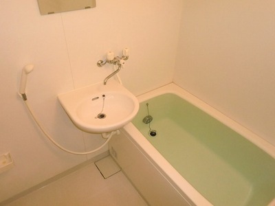 Bath. Clean bathroom