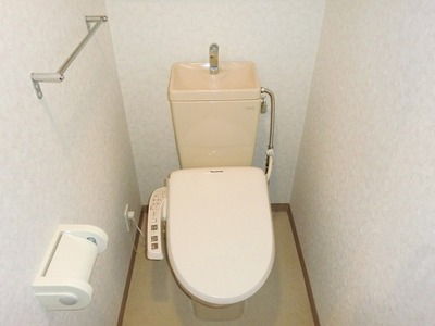 Toilet. Toilet