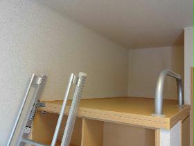 Other. There are loft