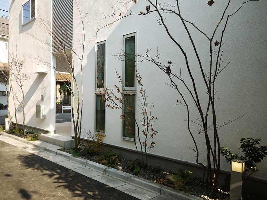 Local appearance photo