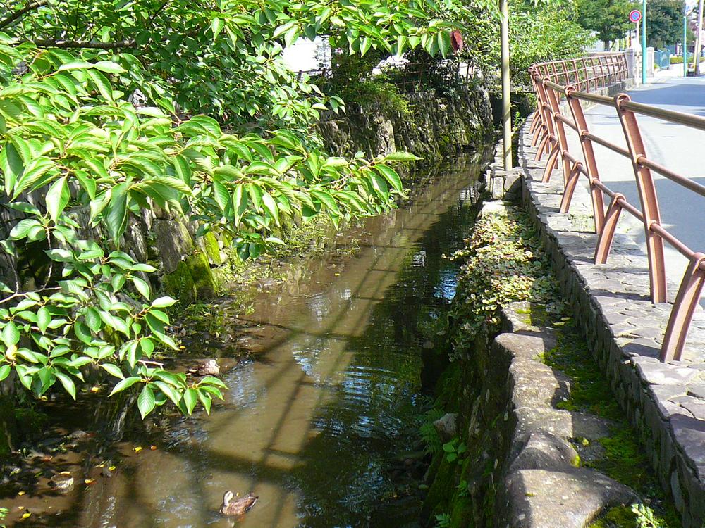 Other Environmental Photo. Marukogawa