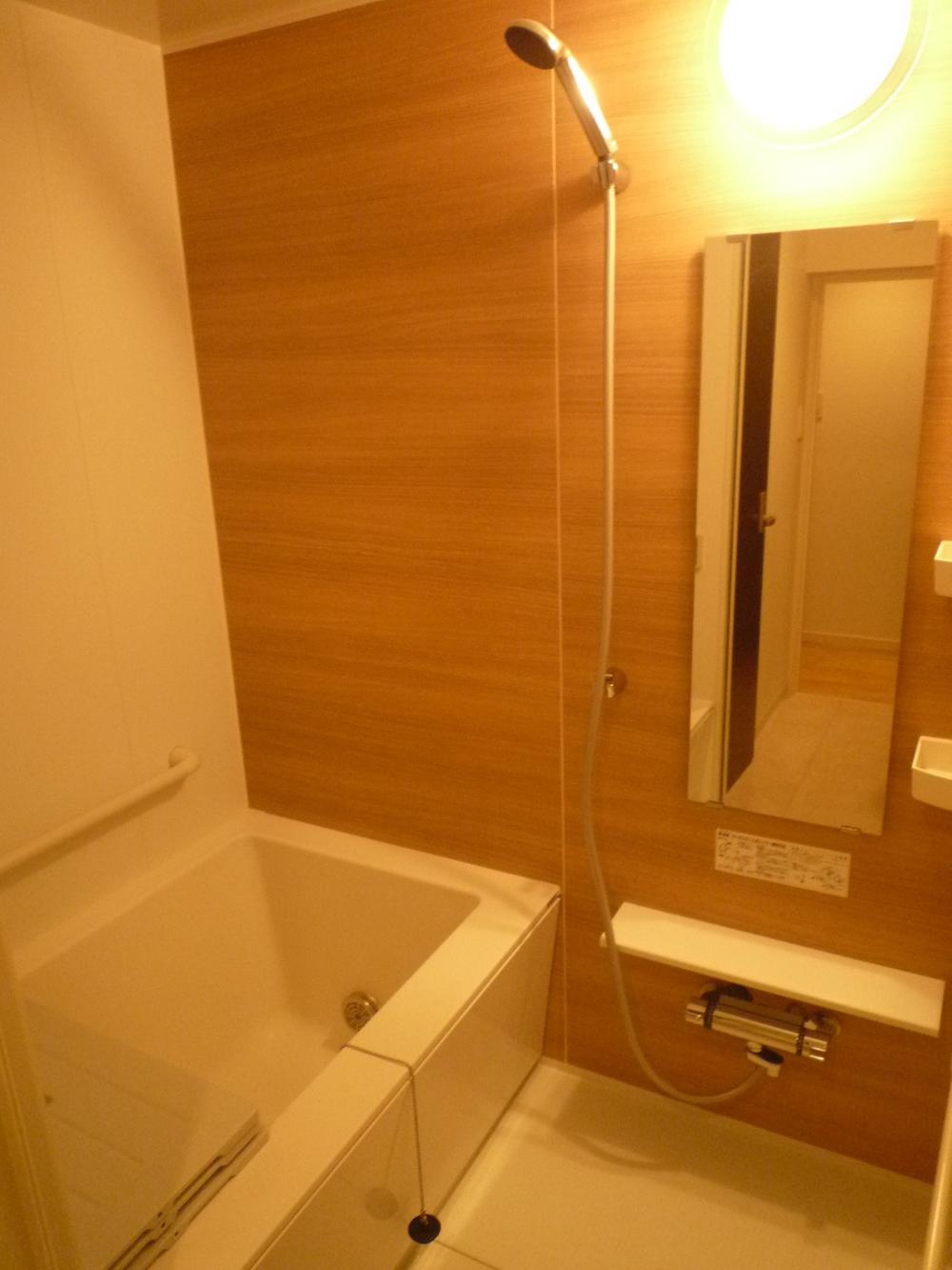 Bathroom. Indoor (10 May 2013) Shooting