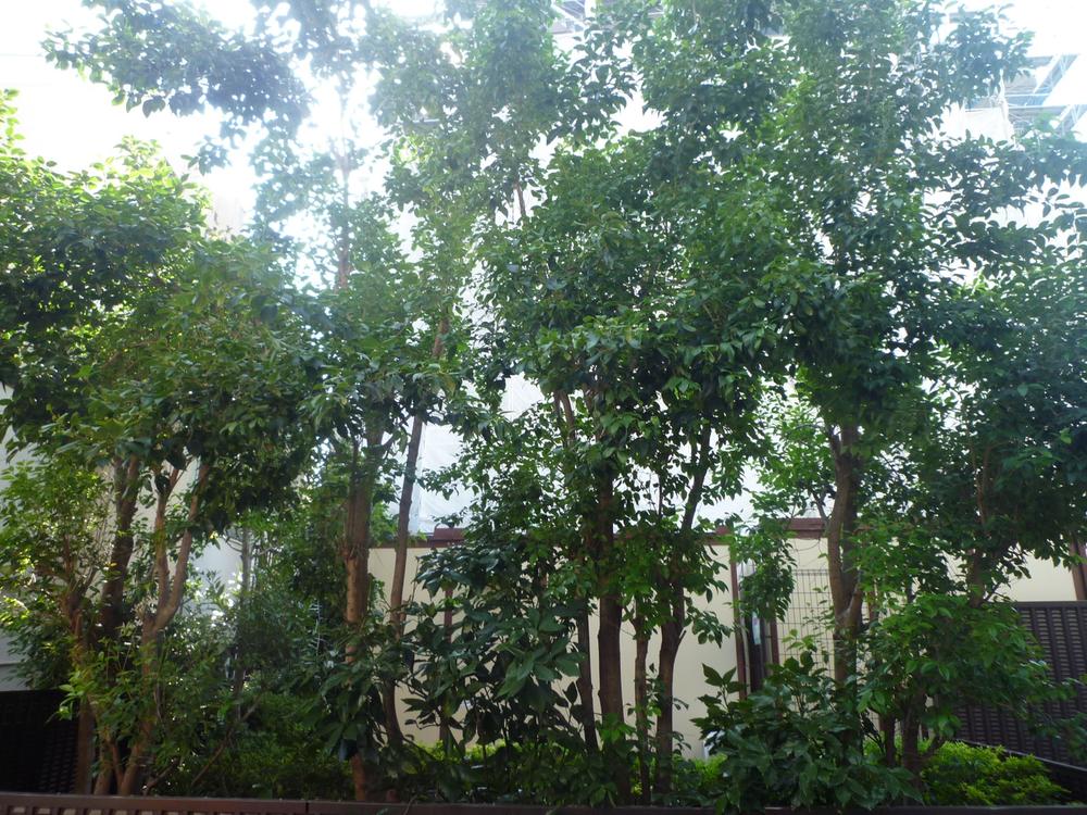 View photos from the dwelling unit. View from the balcony