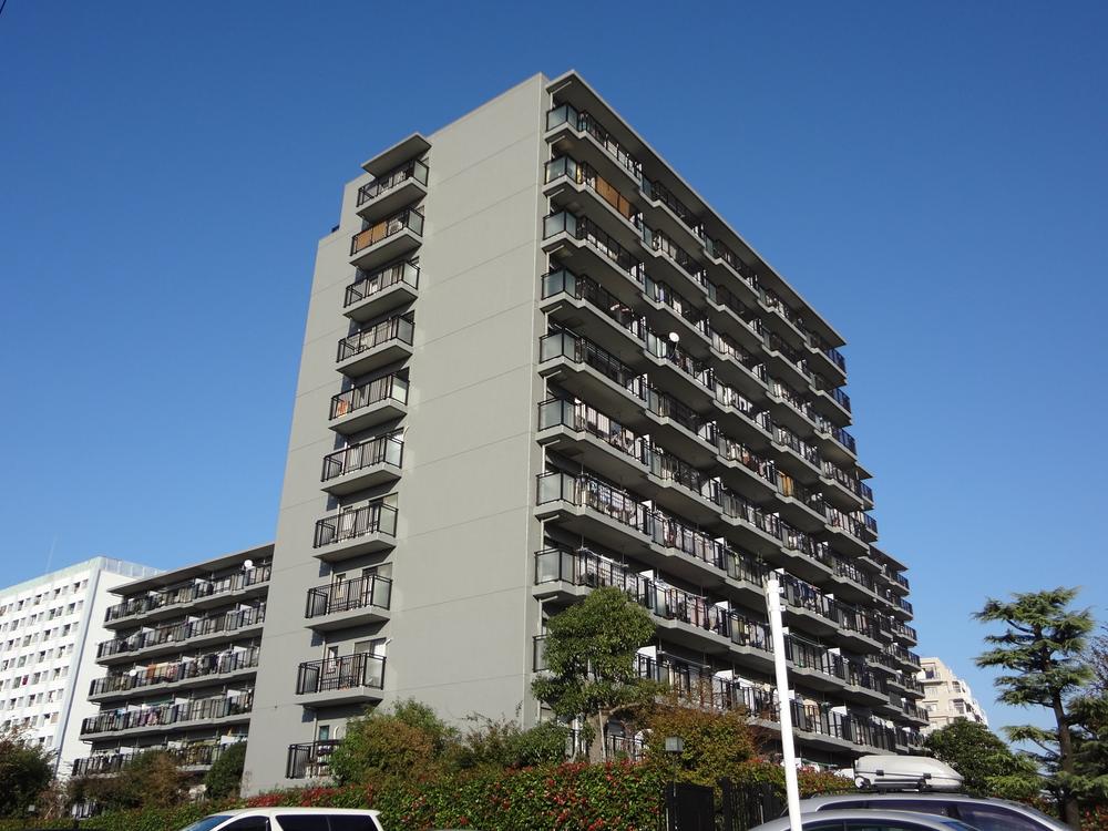 Local appearance photo. Large-scale repair work Performed July 2012