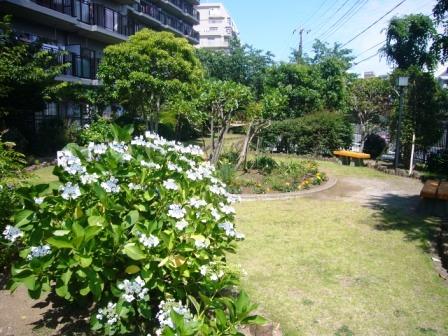 Other common areas. Common areas