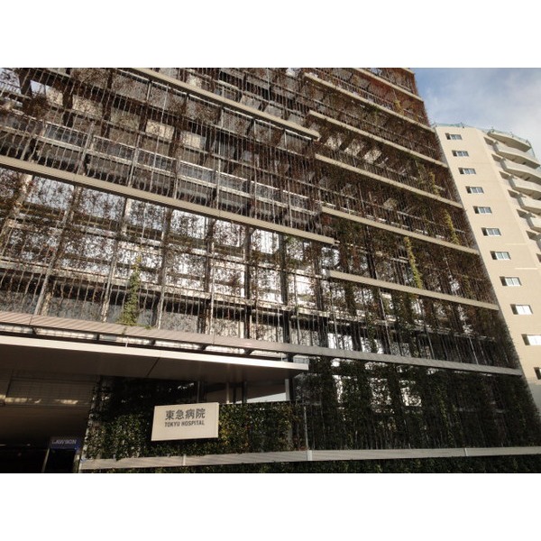 Hospital. Tokyu Corporation (Corporation) 237m to Tokyu Hospital (Hospital)