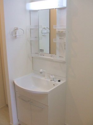 Washroom. Convenient wash basin in the morning of styling