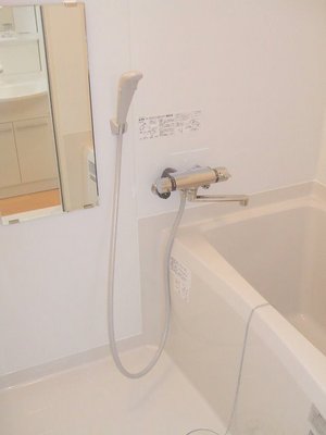 Bath. Comfortable bathroom