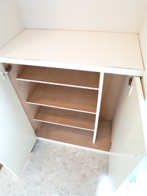 Entrance. It is the front door storage